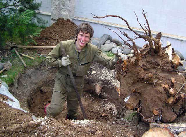 Удаление пней